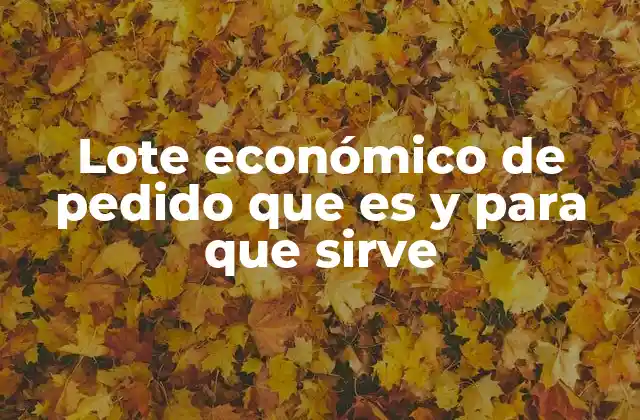 Lote Económico de Pedido que es y para que Sirve
