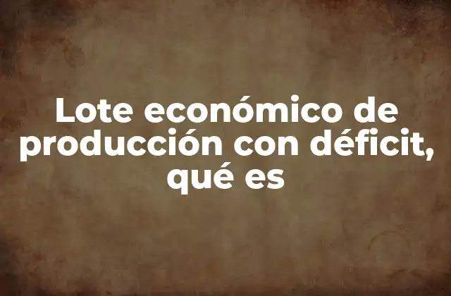 Lote Económico de Producción con Déficit, Qué es