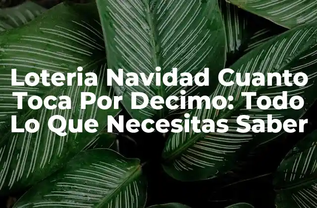 Loteria Navidad Cuanto Toca por Decimo: Todo Lo que Necesitas Saber