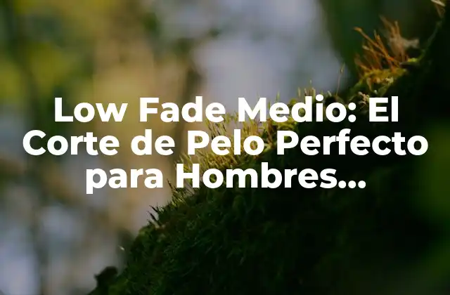 Low Fade Medio: el Corte de Pelo Perfecto para Hombres Modernos