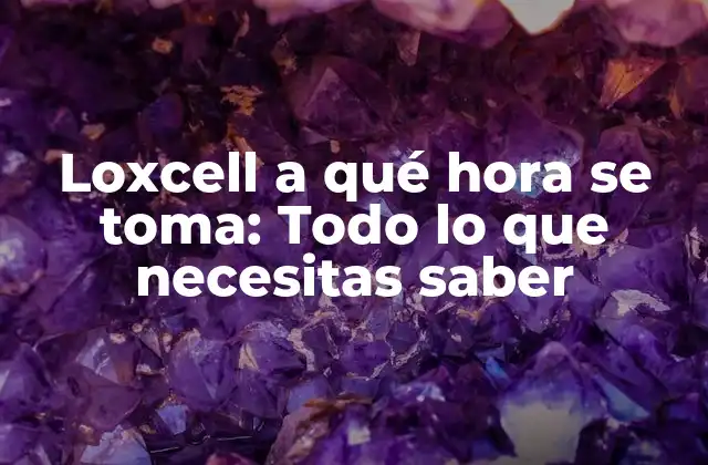 ¿Qué es Loxcell y cómo funciona?