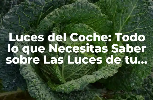 Luces Del Coche: Todo Lo que Necesitas Saber sobre las Luces de Tu Vehículo