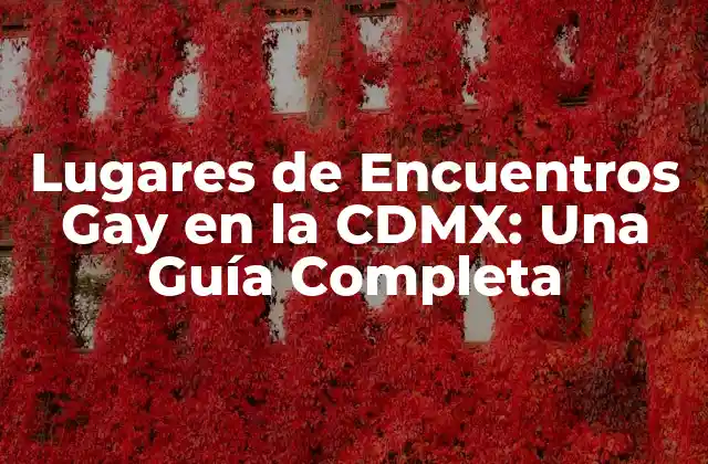 Lugares de Encuentros Gay en la Cdmx: una Guía Completa
