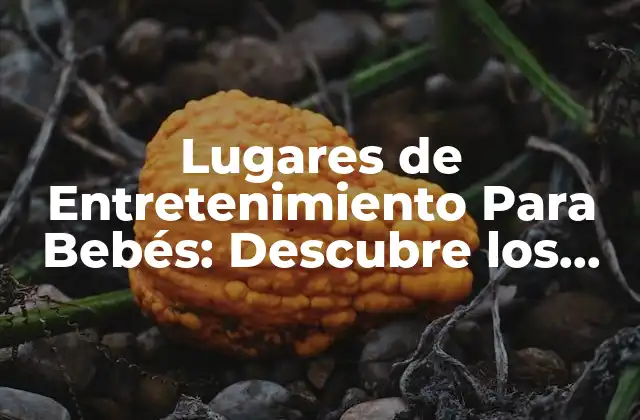 Lugares de Entretenimiento para Bebés: Descubre los Mejores Destinos