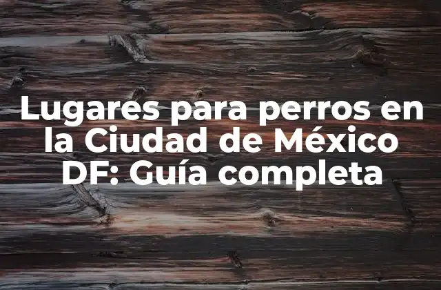Lugares para Perros en la Ciudad de México Df: Guía Completa