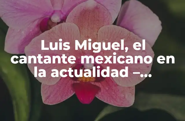 Luis Miguel, el Cantante Mexicano en la Actualidad – Actualizaciones y Noticias