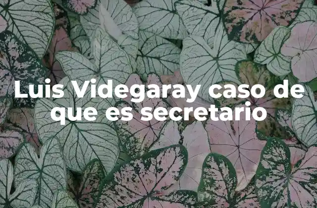 Luis Videgaray Caso de que es Secretario