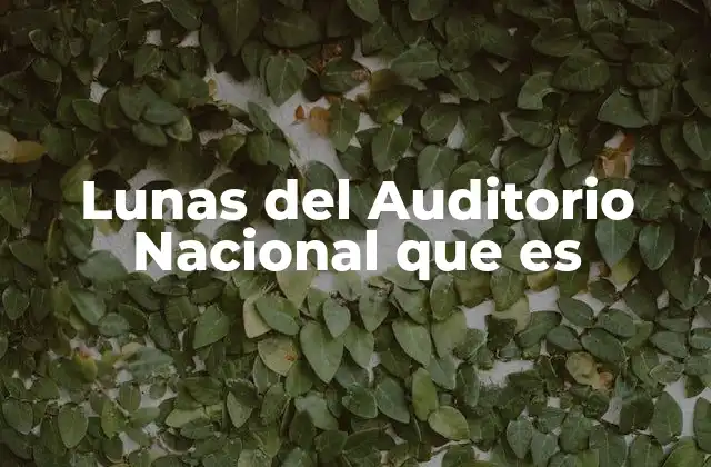 Lunas Del Auditorio Nacional que es