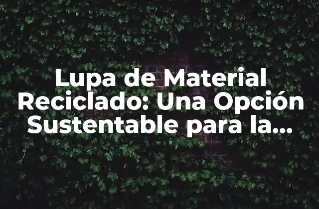 Lupa de Material Reciclado: una Opción Sustentable para la Observación