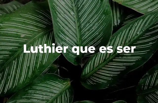 Luthier que es Ser