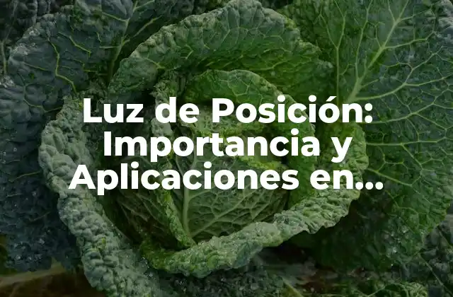 Luz de Posición: Importancia y Aplicaciones en Diferentes Campos
