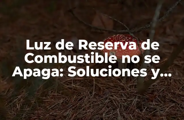 Luz de Reserva de Combustible No Se Apaga: Soluciones y Explicaciones