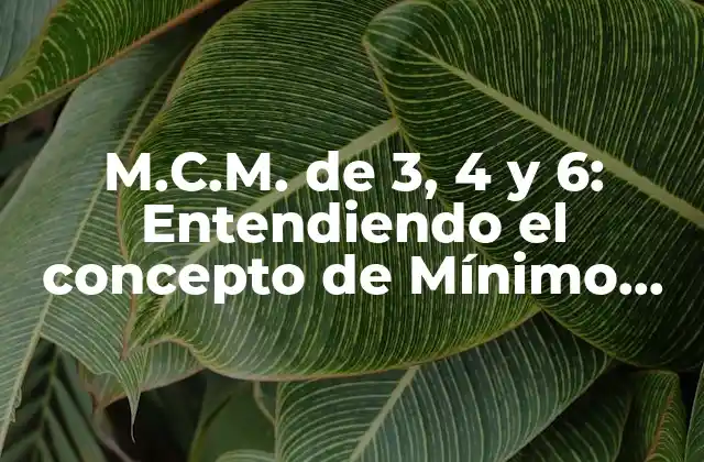 M.c.m. de 3, 4 y 6: Entendiendo el Concepto de Mínimo Común Múltiplo