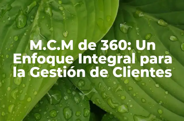 M.c.m de 360: un Enfoque Integral para la Gestión de Clientes