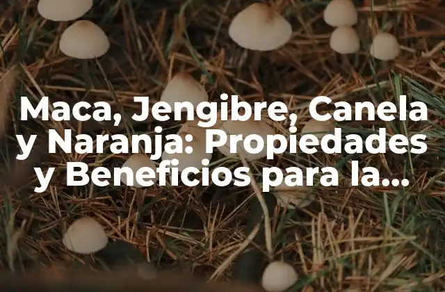 Maca, Jengibre, Canela y Naranja: Propiedades y Beneficios para la Salud