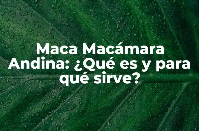 Maca Macámara Andina: ¿qué es y para Qué Sirve?