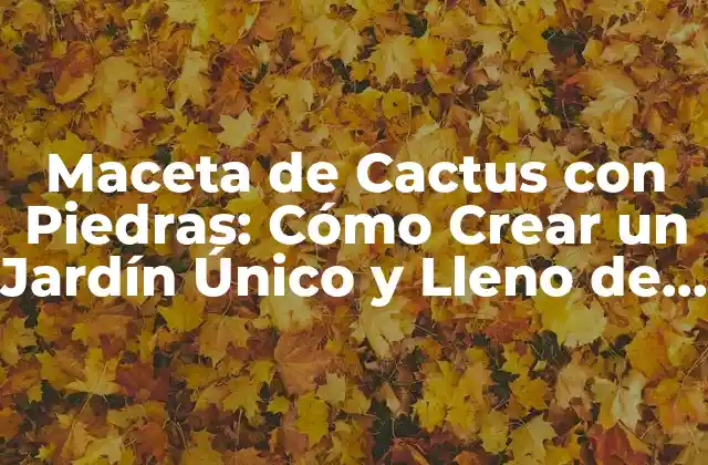 Maceta de Cactus con Piedras: Cómo Crear un Jardín Único y Lleno de Vida