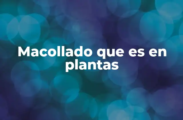 Macollado que es en Plantas