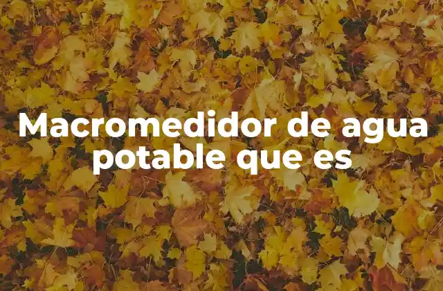 Macromedidor de Agua Potable que es