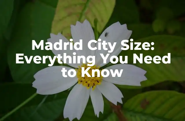 Madrid City Size: Everything You Need To Know