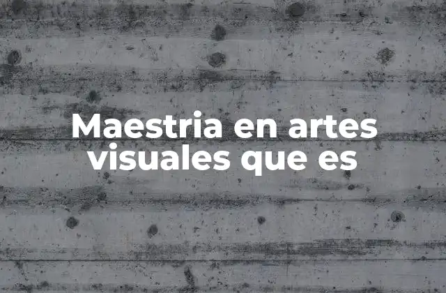 Maestria en Artes Visuales que es