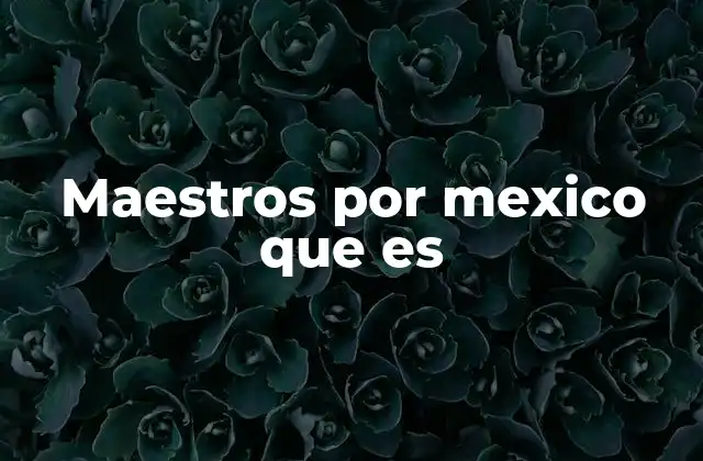 Maestros por Mexico que es