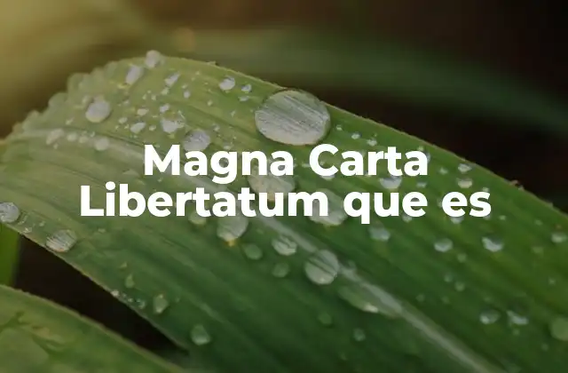 Magna Carta Libertatum que es