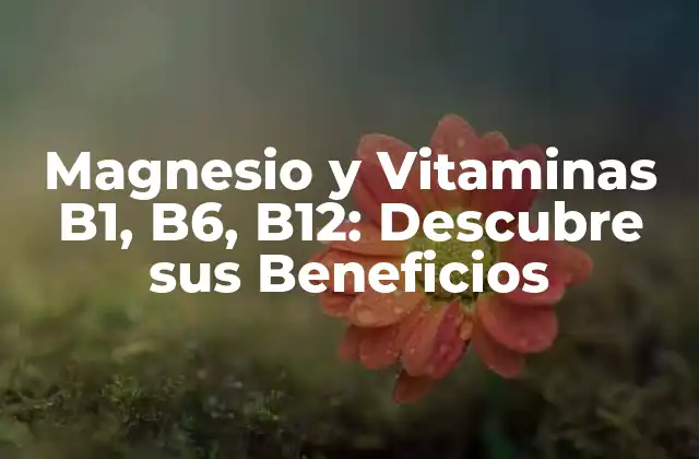 Magnesio y Vitaminas B1, B6, B12: Descubre Sus Beneficios