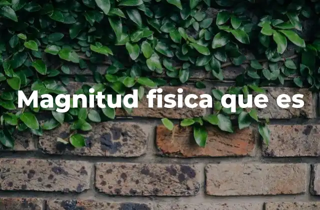 Magnitud Fisica que es