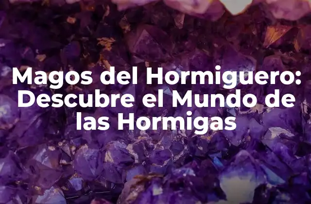 Magos Del Hormiguero: Descubre el Mundo de las Hormigas