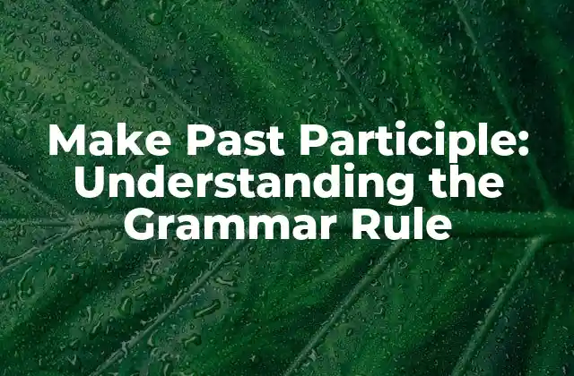 Make Past Participle: Understanding The Grammar Rule 2 What is the Make Past Participle?