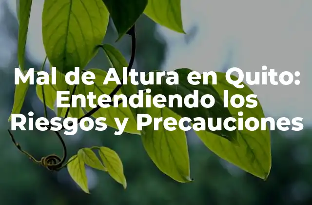 Mal de Altura en Quito: Entendiendo los Riesgos y Precauciones