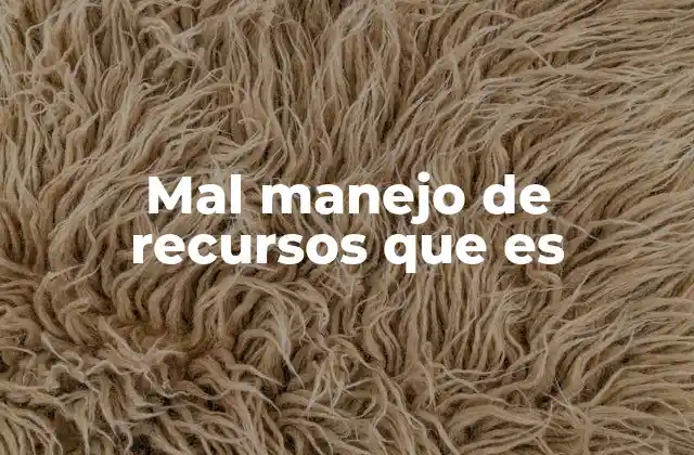 Mal Manejo de Recursos que es