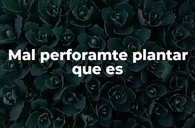 Mal Perforamte Plantar que es