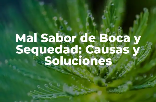 Mal Sabor de Boca y Sequedad: Causas y Soluciones