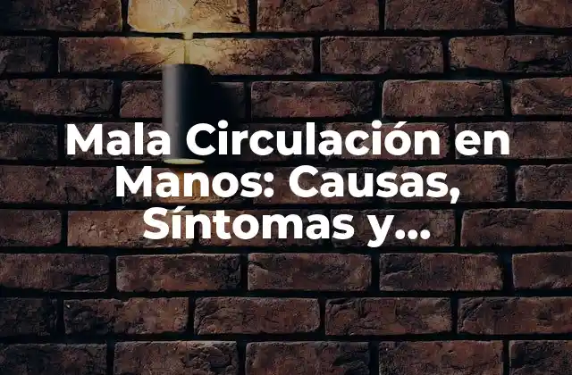 Mala Circulación en Manos: Causas, Síntomas y Tratamientos