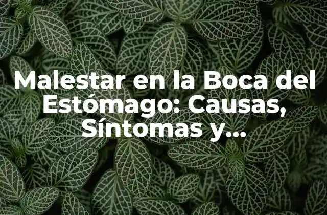 Malestar en la Boca Del Estómago: Causas, Síntomas y Tratamientos