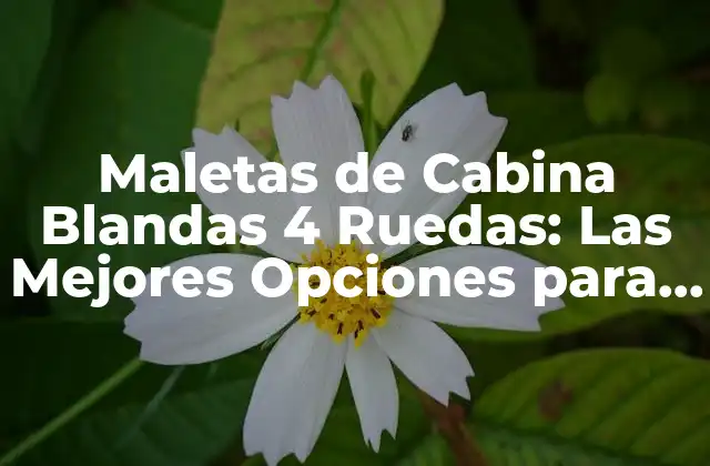 Maletas de Cabina Blandas 4 Ruedas: las Mejores Opciones para Viajeros