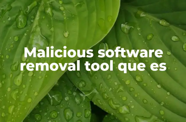 La importancia de tener una herramienta de eliminación de software malicioso