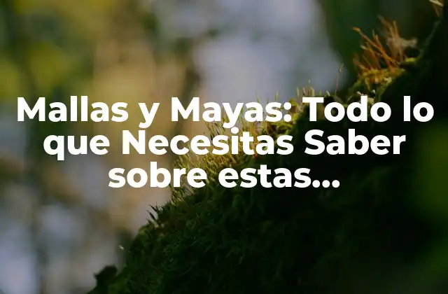 Mallas y Mayas: Todo Lo que Necesitas Saber sobre Estas Herramientas de Seguridad