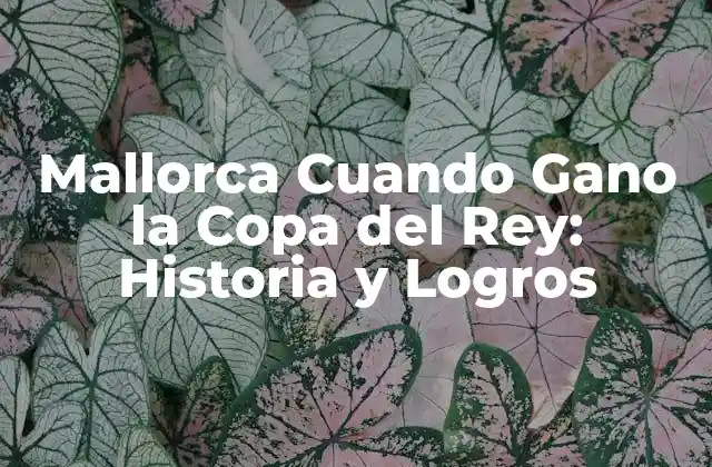 Mallorca Cuando Gano la Copa Del Rey: Historia y Logros