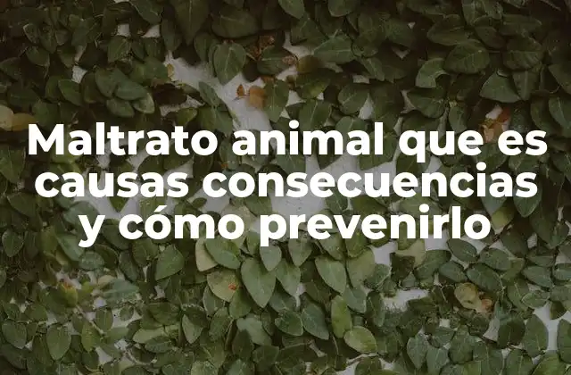 Maltrato Animal que es Causas Consecuencias y Cómo Prevenirlo
