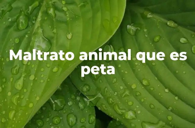 Maltrato Animal que es Peta