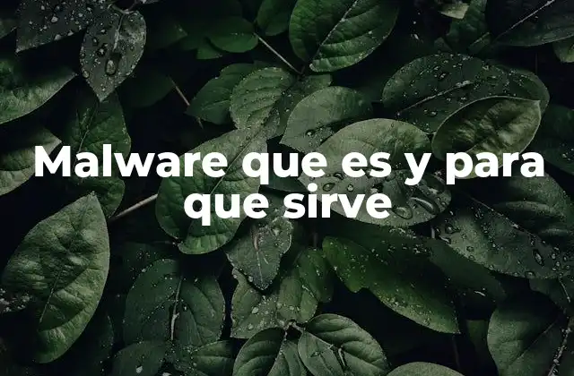 Malware que es y para que Sirve
