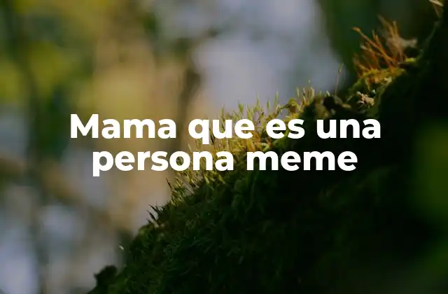 Mama que es una Persona Meme