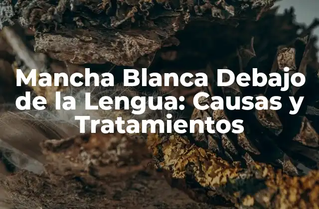 Mancha Blanca Debajo de la Lengua: Causas y Tratamientos