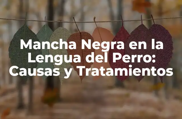 Mancha Negra en la Lengua Del Perro: Causas y Tratamientos