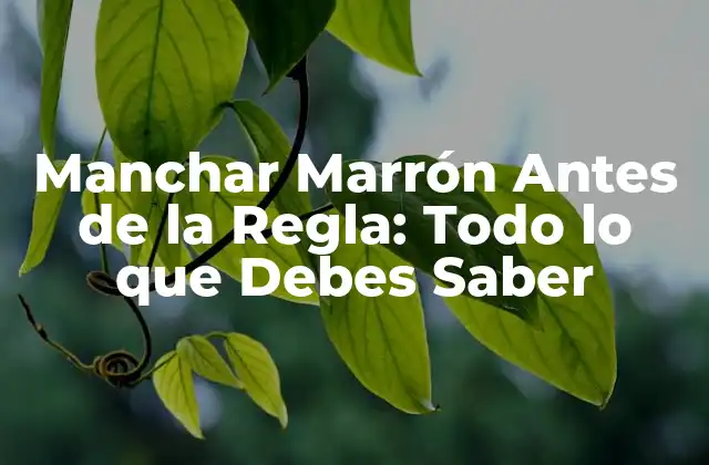 Manchar Marrón Antes de la Regla: Todo Lo que Debes Saber