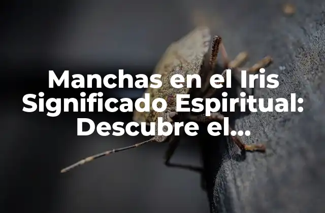 Manchas en el Iris Significado Espiritual: Descubre el Significado Oculto