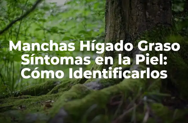 Manchas Hígado Graso Síntomas en la Piel: Cómo Identificarlos